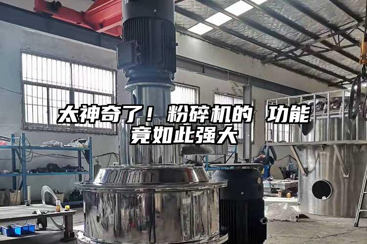 太神奇了！桃色视频免费看的 功能竟如此強大