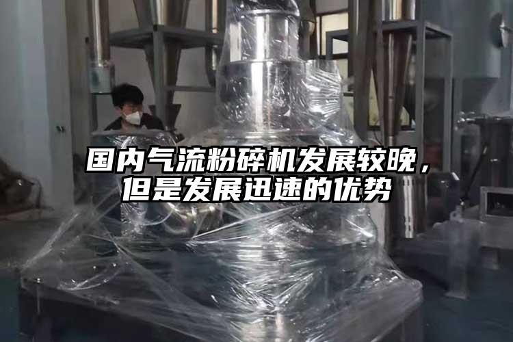 國內氣流桃色视频免费看發展較晚，但是發展迅速的優勢