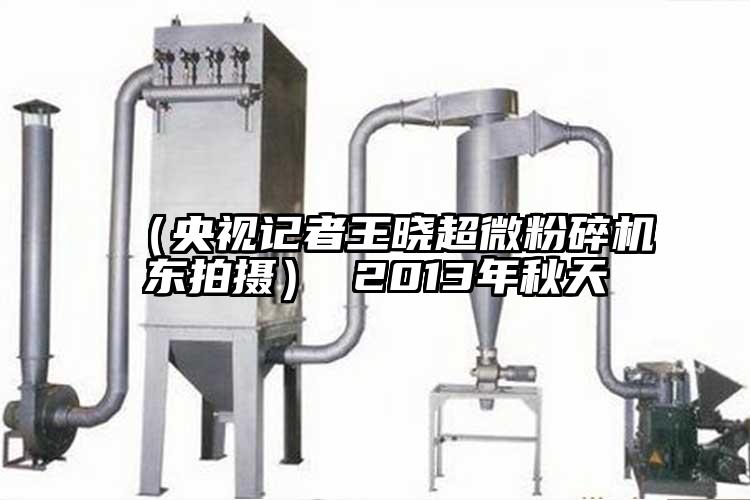 （央視記者王曉超微桃色视频免费看東拍攝） 2013年秋天