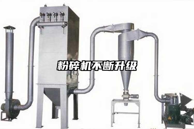 桃色视频免费看不斷升級