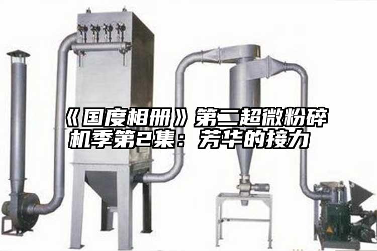 《國度相冊》第二超微桃色视频免费看季第2集：芳華的接力