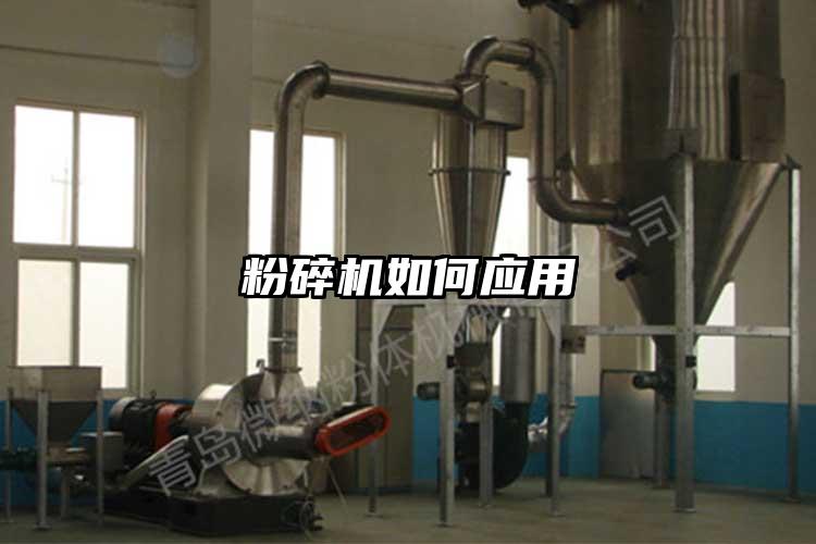 桃色视频免费看如何應用