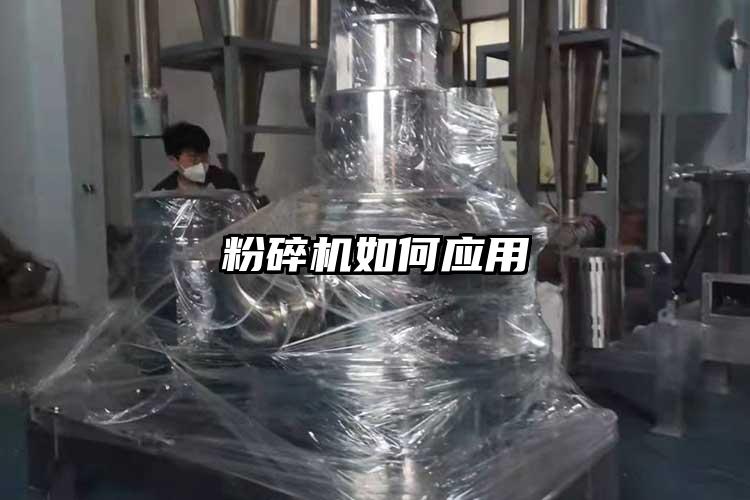 桃色视频免费看如何應用
