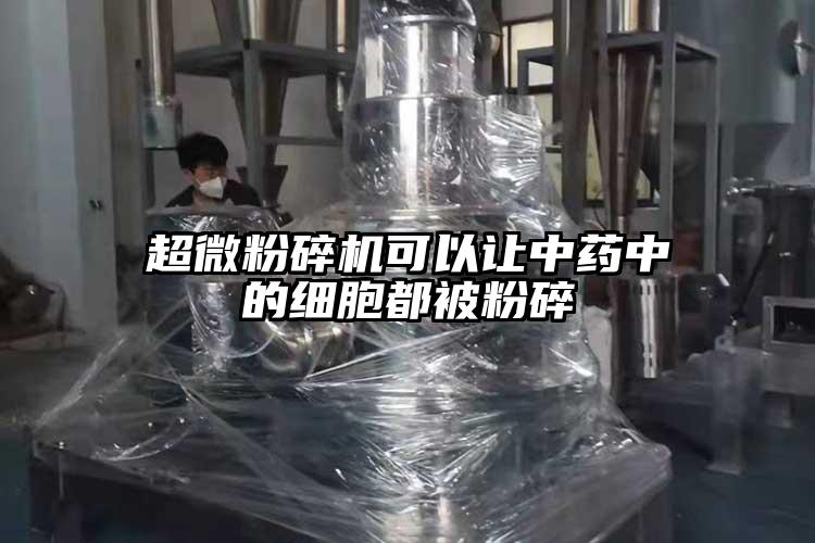 超微桃色视频免费看可以讓中藥中的細胞都被粉碎