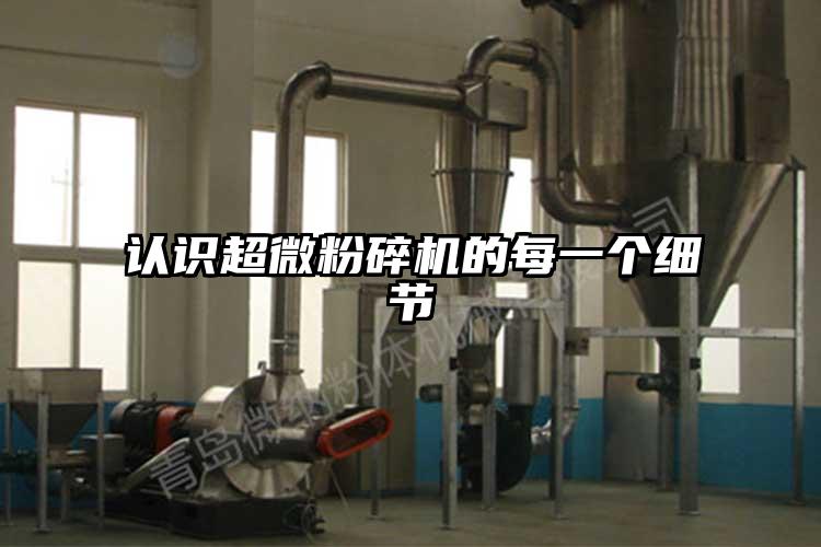 認識超微桃色视频免费看的每一個細節