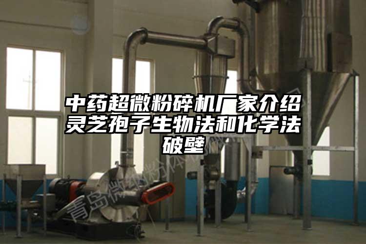中藥超微桃色视频免费看廠家介紹靈芝孢子生物法和化學法破壁
