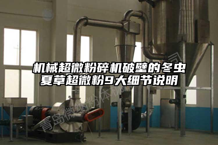 機械超微桃色视频免费看破壁的冬蟲夏草超微粉9大細節說明
