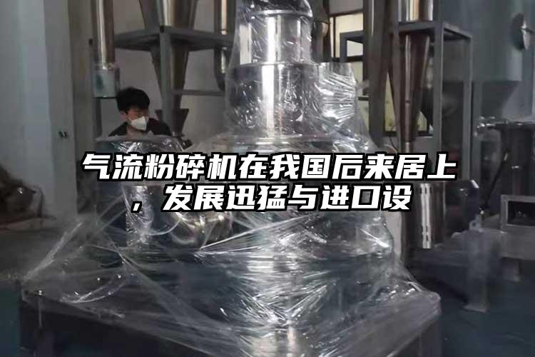氣流桃色视频免费看在我國後來居上，發展迅猛與進口設