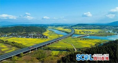 依法組織投資氣流桃色视频免费看人招標工作