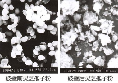 操作簡便等氣流桃色视频免费看眾多優點