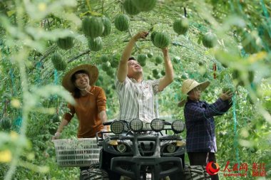 品質和產量超微桃色视频免费看得到提高